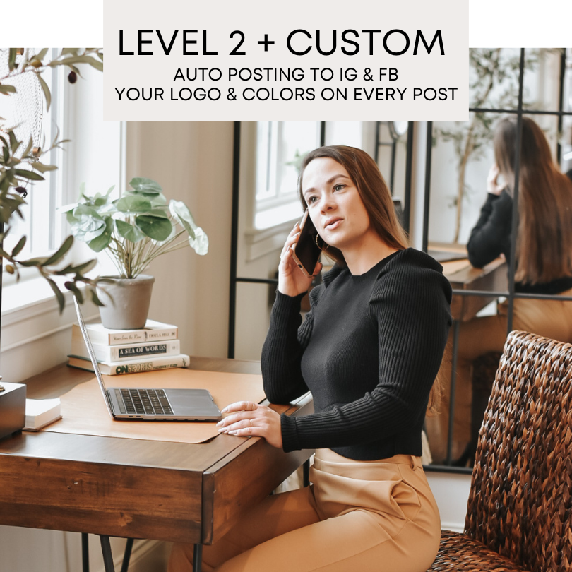 Blink Level Two Branded Custom Real Estate Marketing Plan