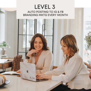 Blink Level Three Real Estate Marketing Plan