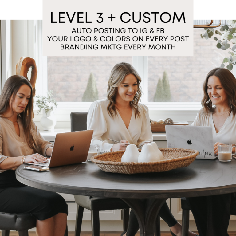 Blink Level 3 Branded Custom social media plan